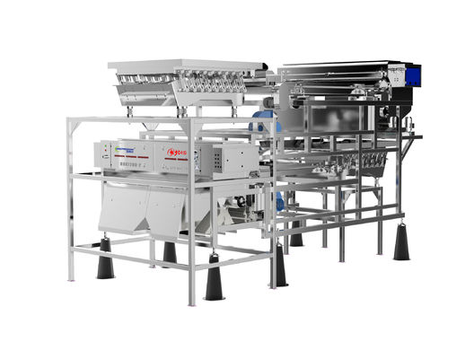 qualidade  Customized Fruit Sorting Machine Belt Type 1.0-1.5T/H Blueberry Color Sorter fábrica