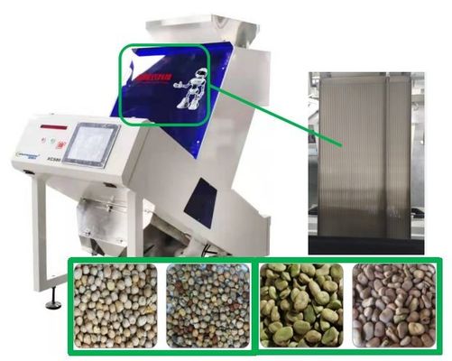 Equipamento de processamento do classificador da cor do Faba do Vicia de 80 grãos-de-bico dos canais