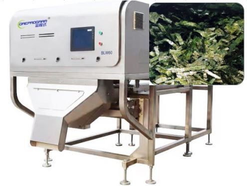 Classificador da cor de Nori Seaweed Vegetable Sorting Machine 1-3T/H Wolfberry